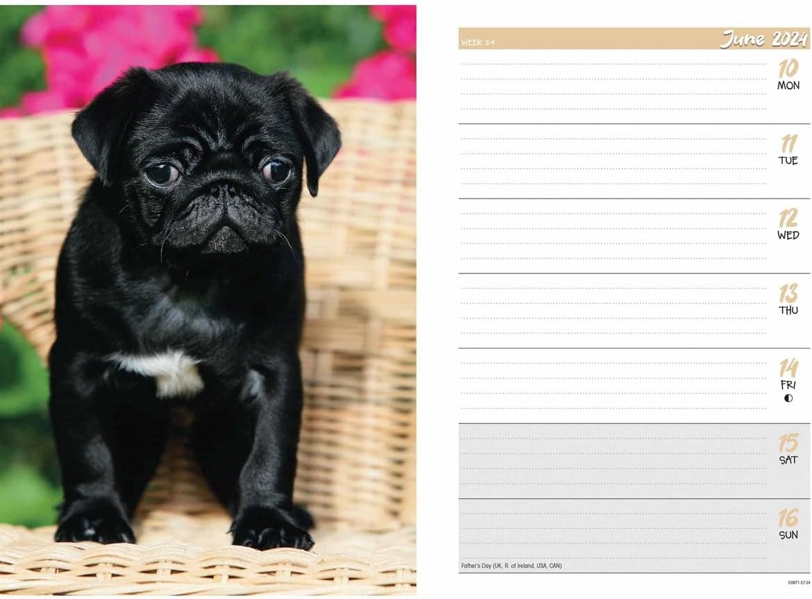 2024 Pugs A5 Engagement Diary