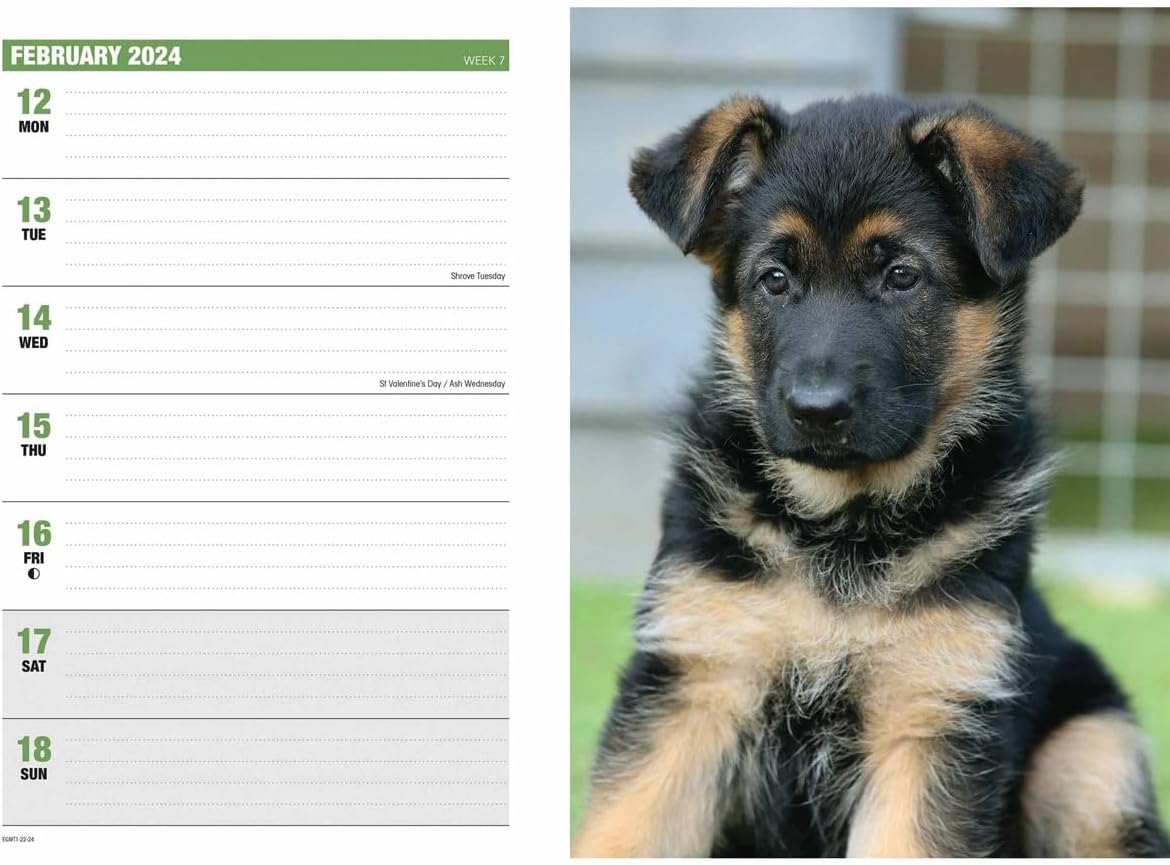 2024 German Shephards A5 Engagement Diary
