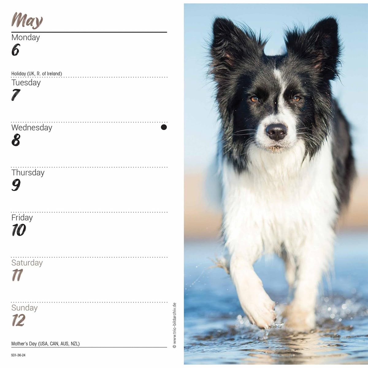 2024 Border Collies Slim Diary