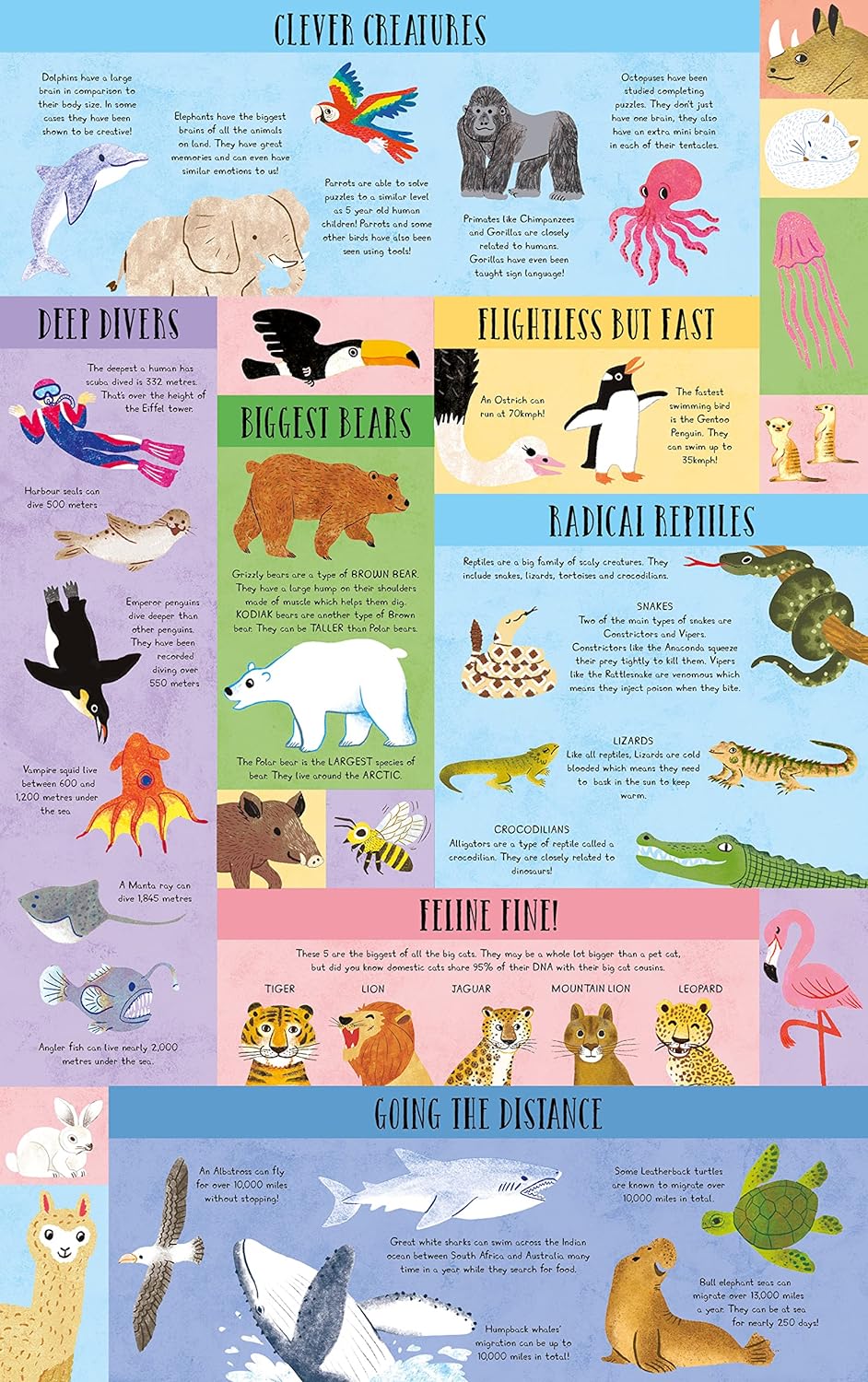 Which Animal Would be a Good Friend?