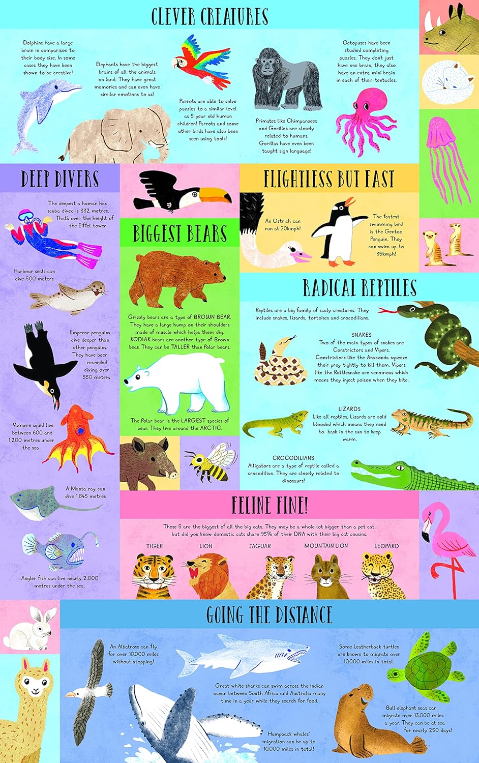 What Did Dinosaurs Eat for Dinner?