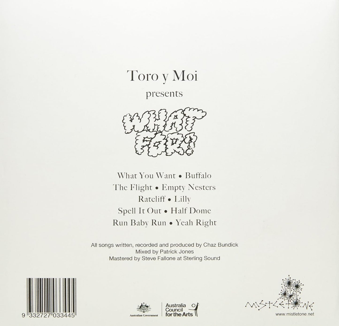 TORO Y MOI - WHAT FOR?