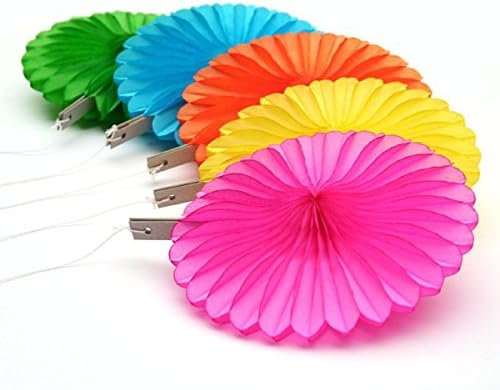 Amscan International Multicolour Hanging Fane Decorations, Pack of 5 (MULTI, 1) Multicolour 1