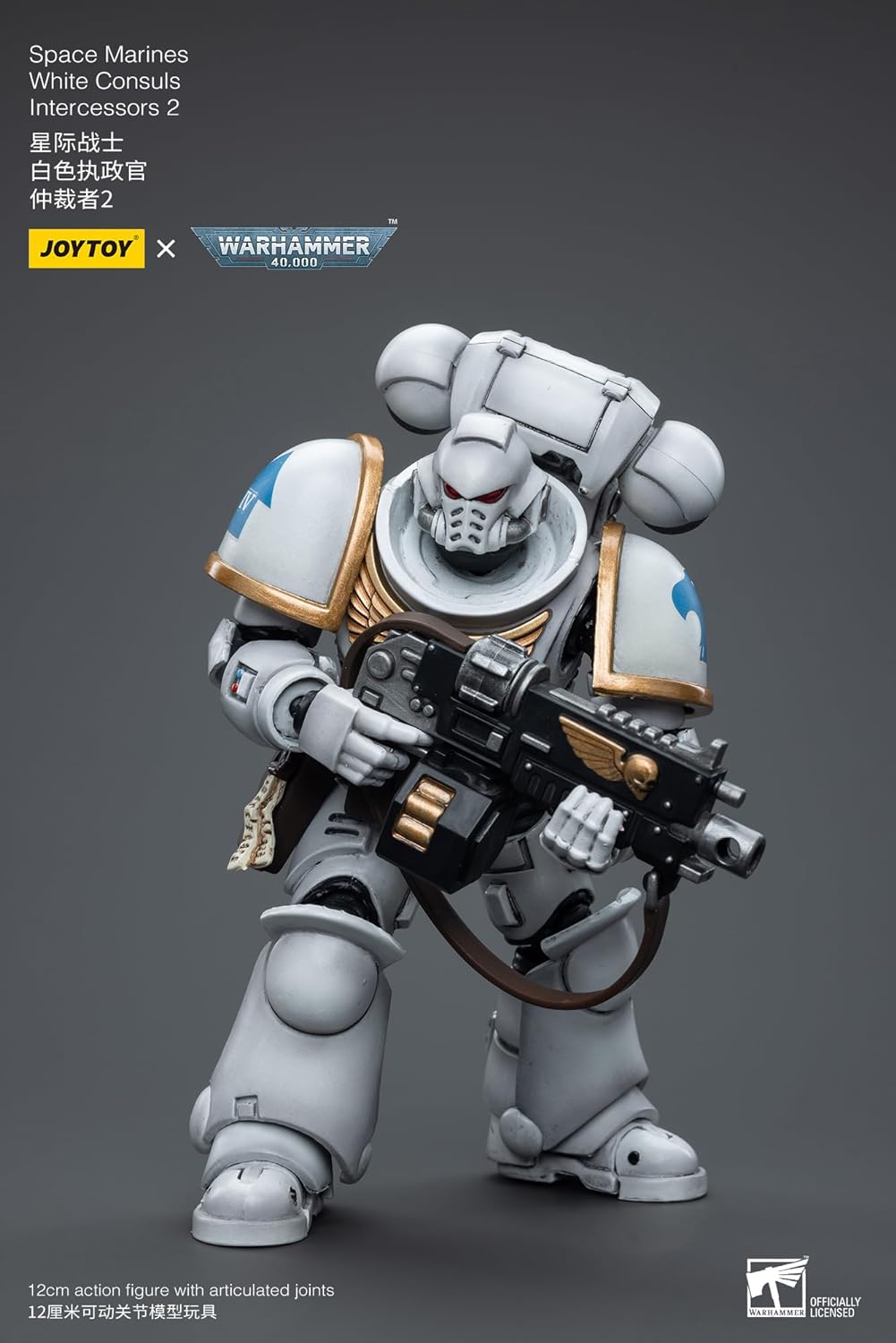 Bloomage Joytoy Tech - WH40K - White Consuls Intercessors 2 1/18 Action Figure