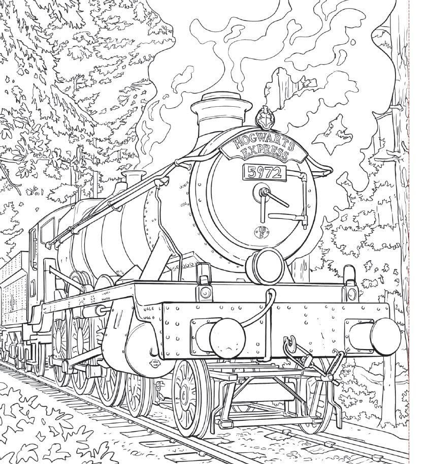 Harry Potter, Coloriages phosphorescents
