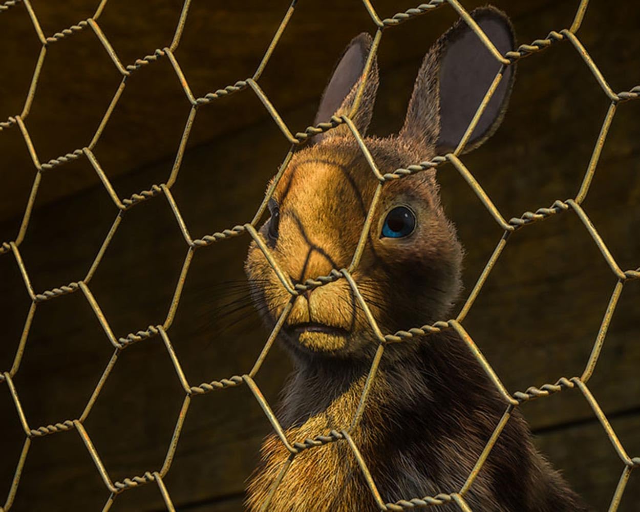 Unten am Fluss (Watership Down) / Die komplette preisgekrönte Miniserie nach dem Romanklassiker von Richard Adams (Pidax Animation)