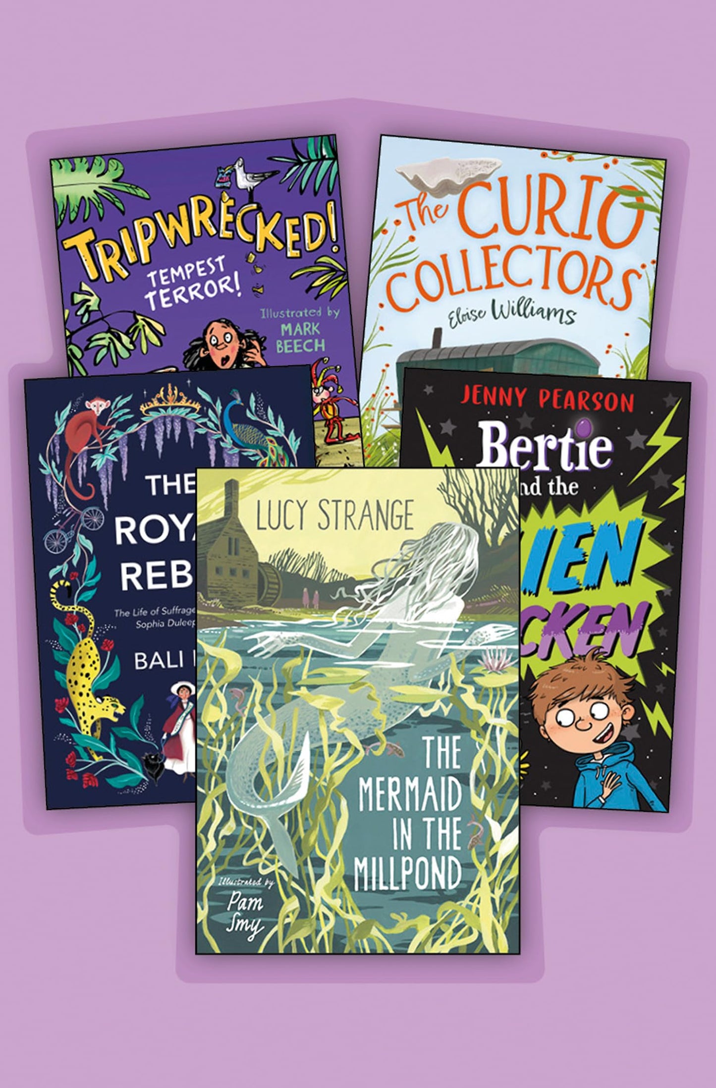 KS2 Reading Age 8 Pack