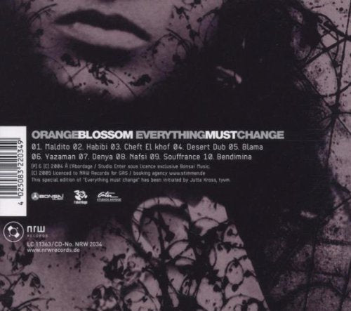 Everything Must Change (2004)