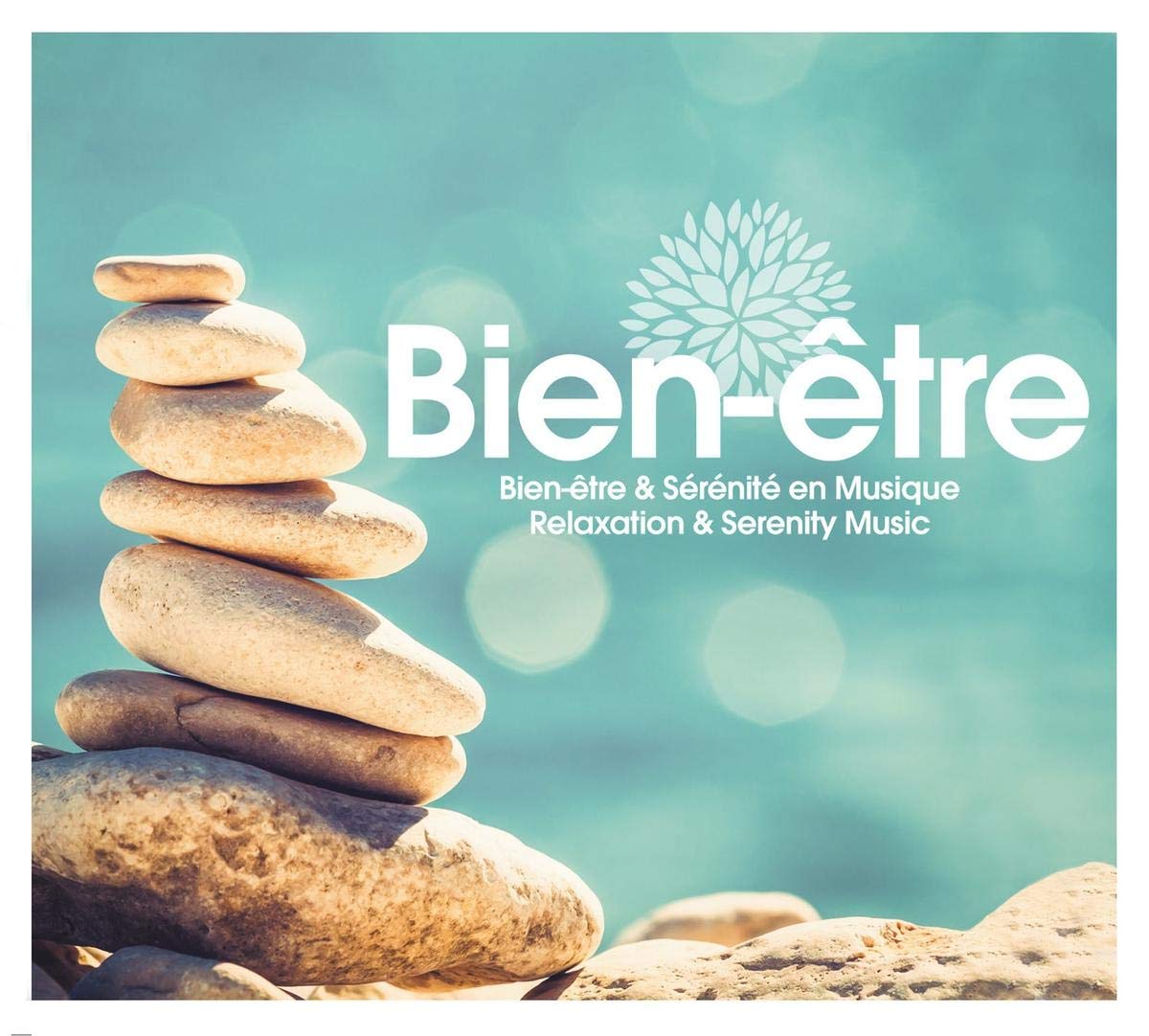 Wellness 02