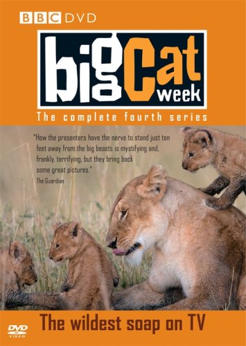Big Cat Week - Series 4