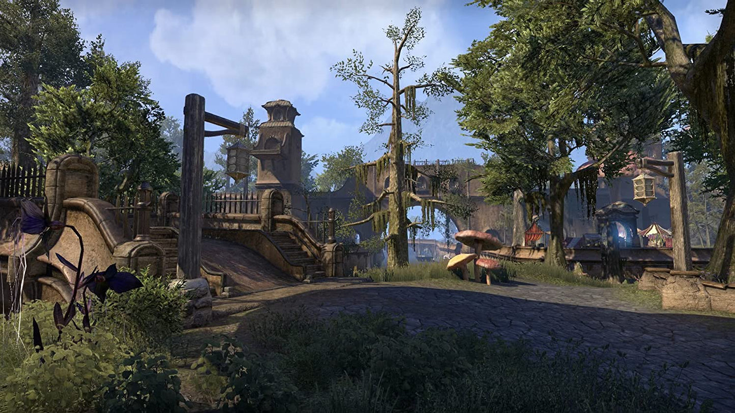 The Elder Scrolls Online: Morrowind (PC DVD) PC DVD Game Only