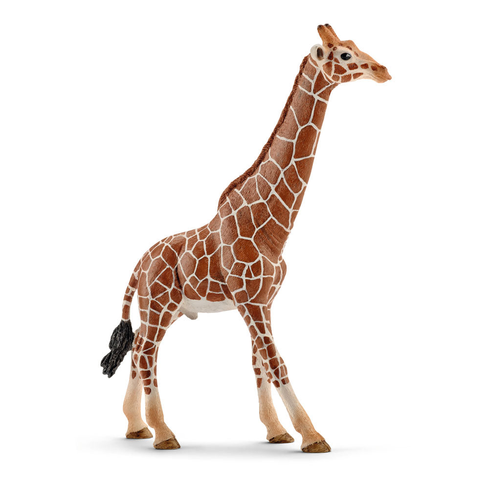 SCHLEICH Wild Life Male Giraffe Toy Figure, Brown/Tan (14749)
