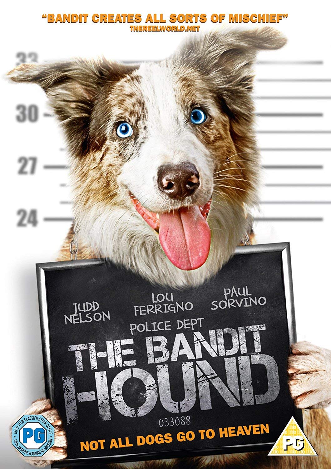 The Bandit Hound