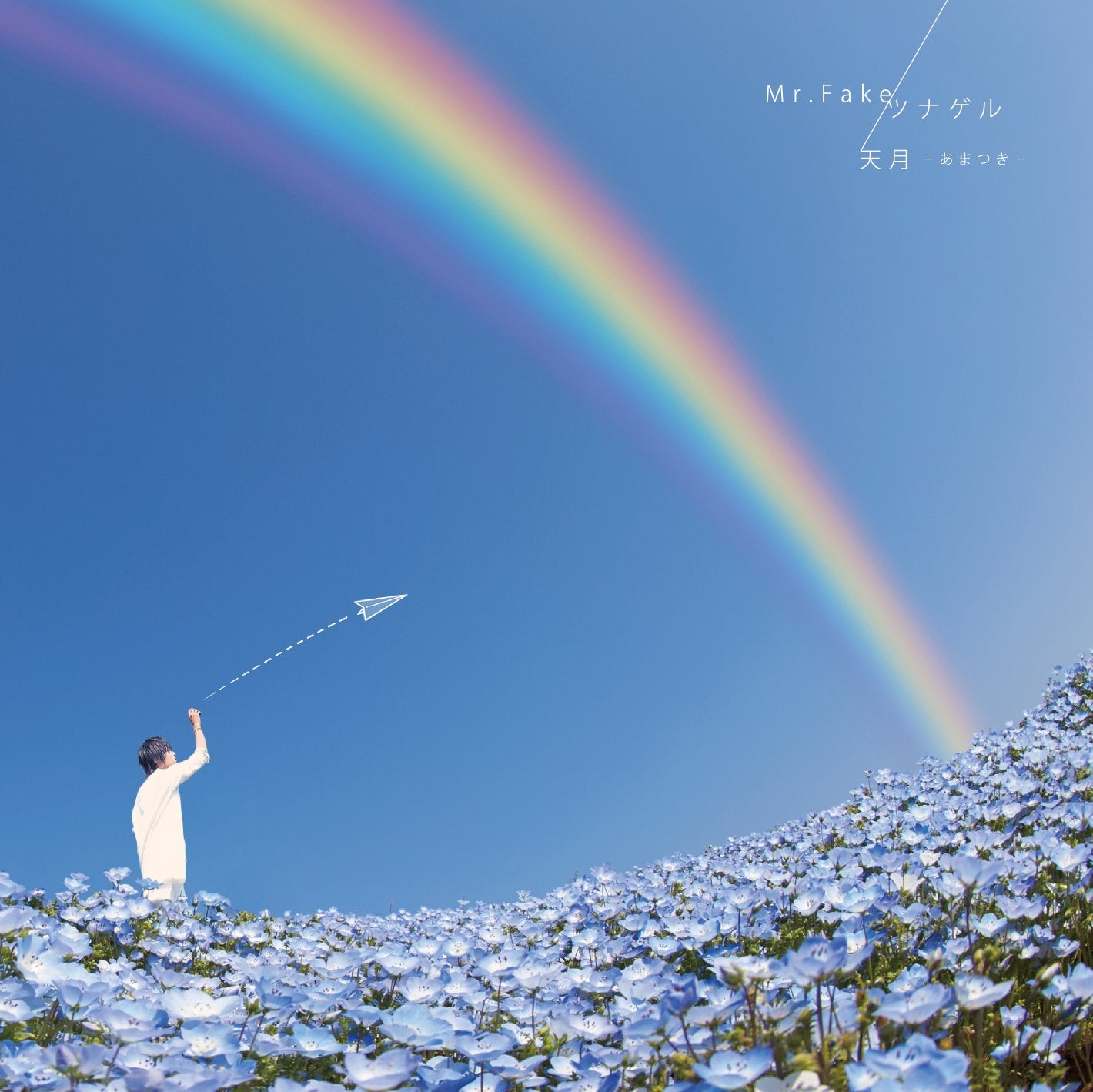 Mr.Fake/Tsunageru (Limited