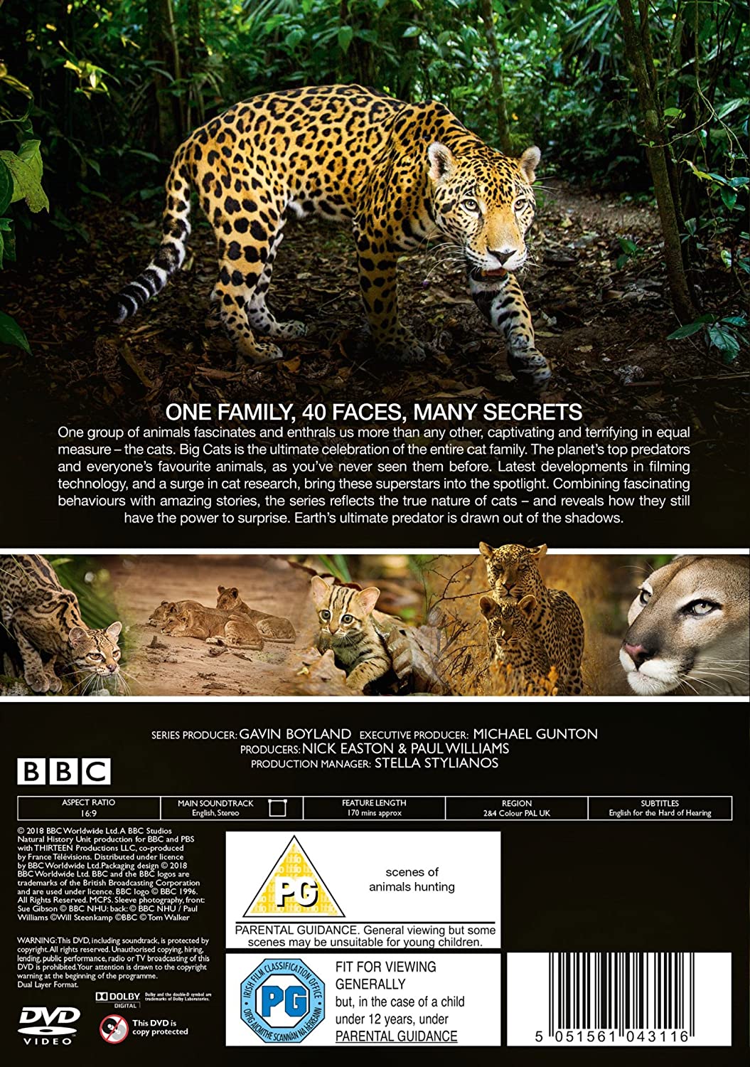 Big Cats
