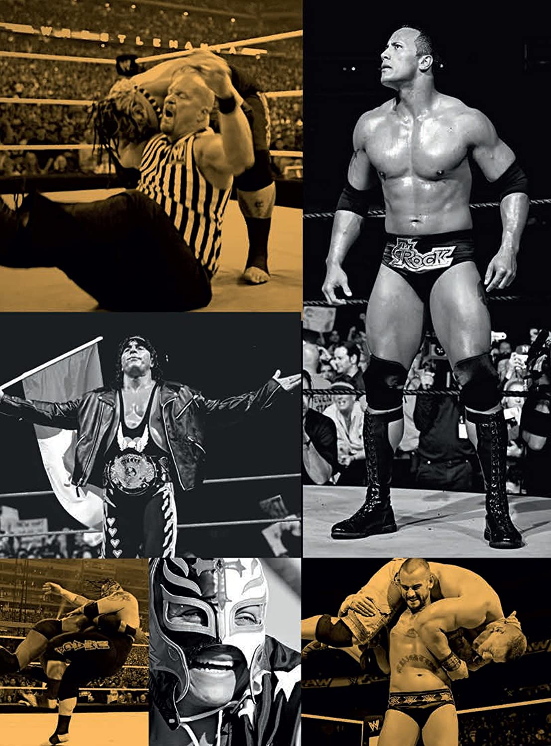 WWE: The History of WWE: 50 Years of Sports Entertainment