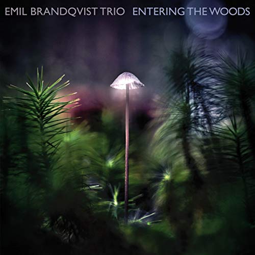 Entering the Woods (Ltd/180gr