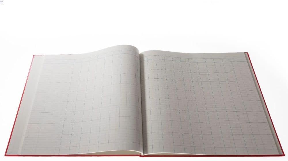 Collins Debden Ltd 061357 Cathedral Analysis Book 20 Cash Columns 297 x 315 mm 96 Pages Red