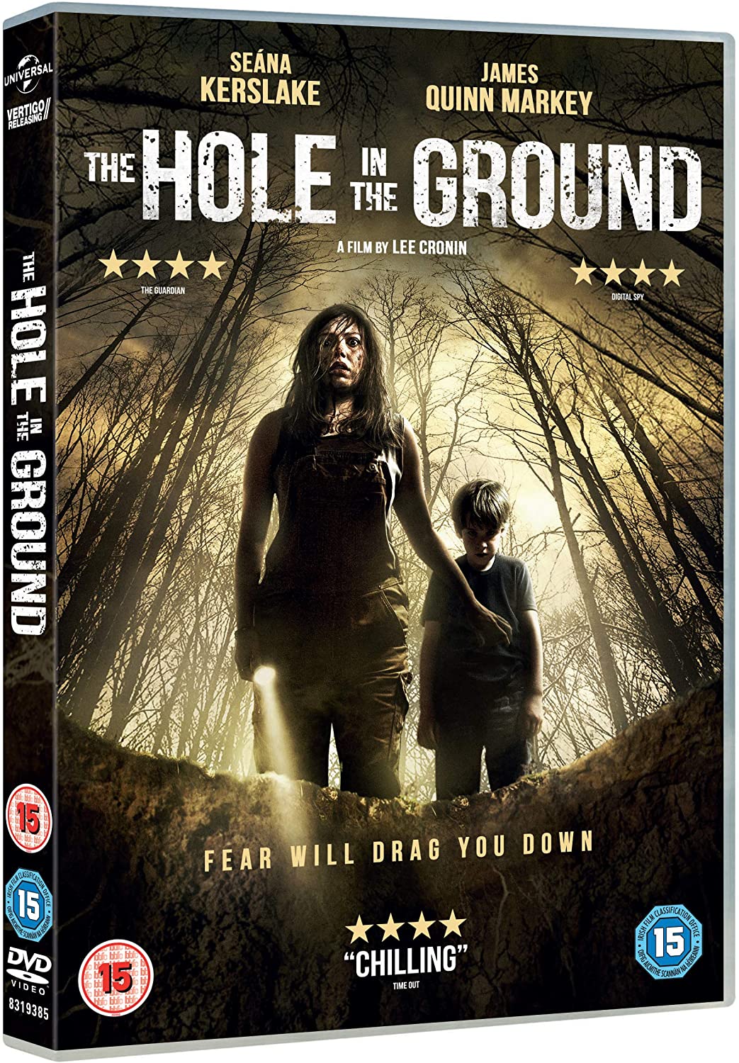 The Hole in the Ground