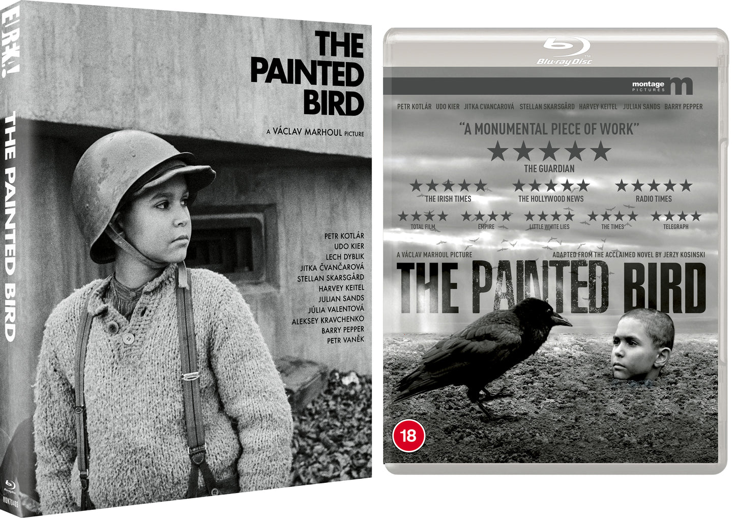The Painted Bird