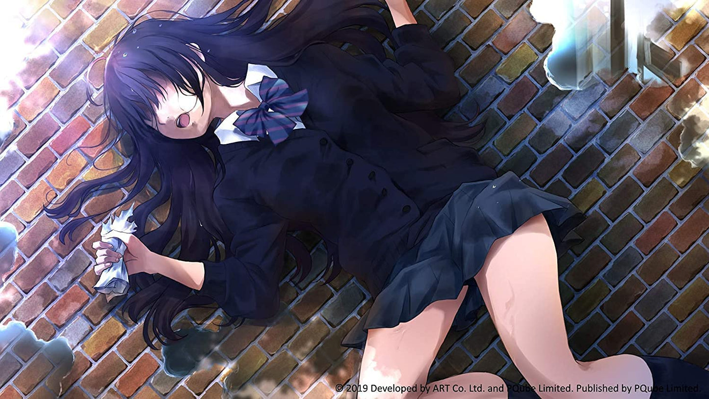 Kotodama The 7 Mysteries of Fujisawa Nintendo Switch Game