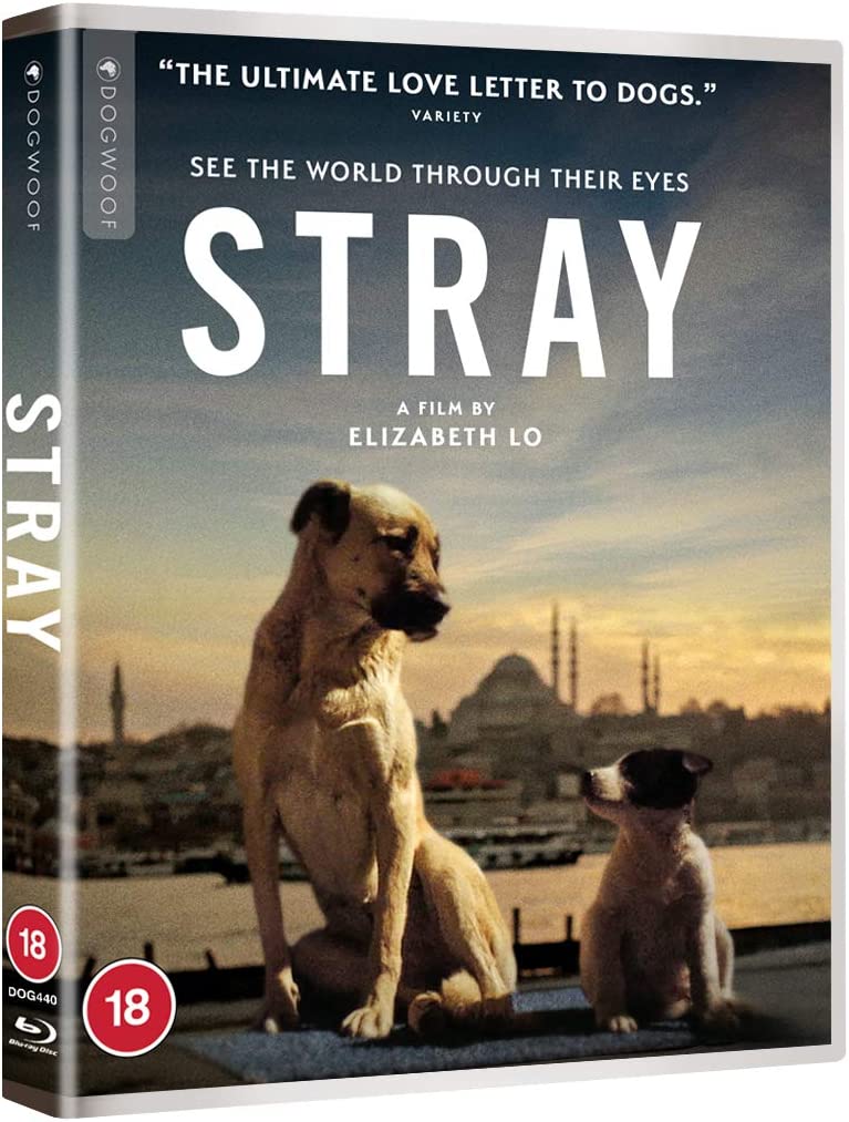 Stray