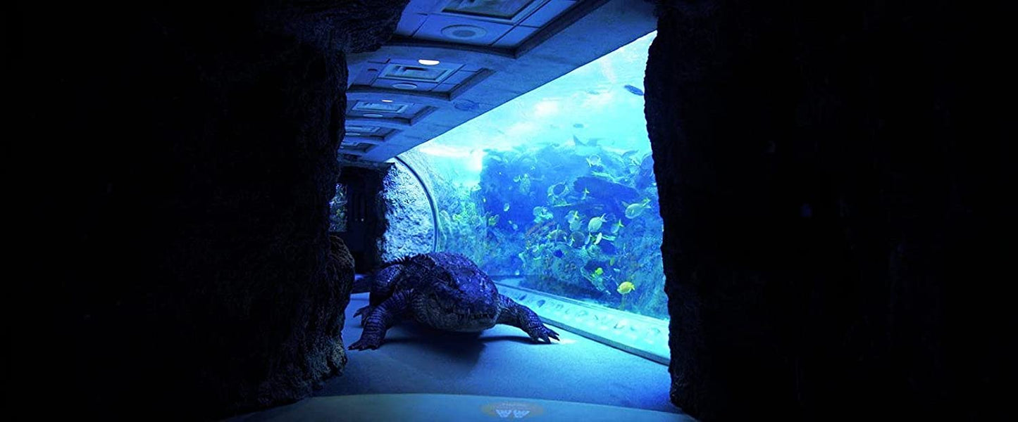 Aquarium of the Dead - Uncut Fassung