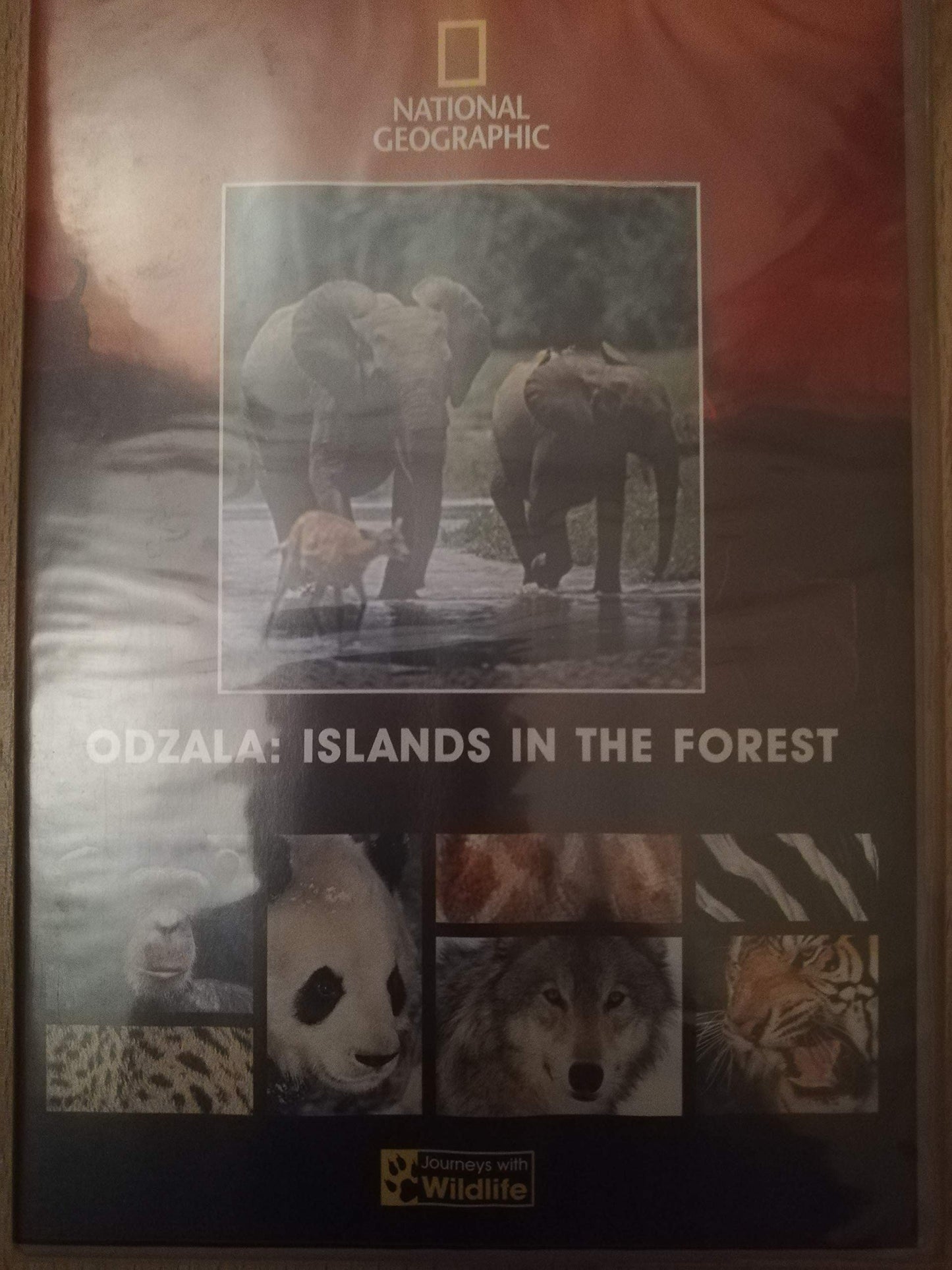 National Geographic Odzala Islands In The Forest