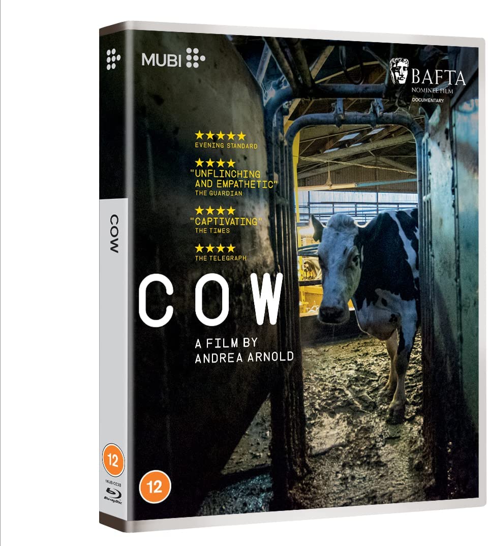 Cow