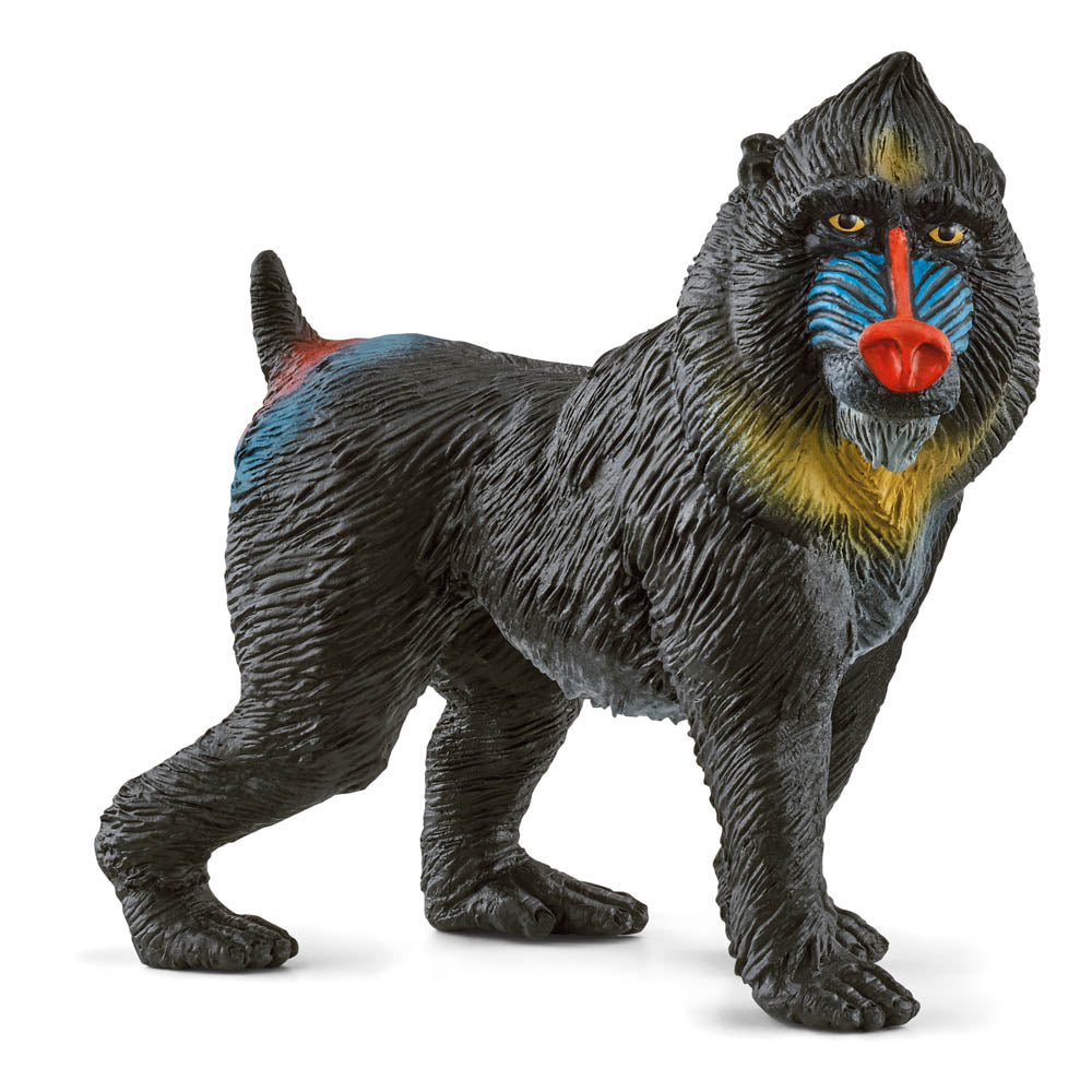 SCHLEICH Wild Life Mandrill Toy Figure, Multi-colour (14856)