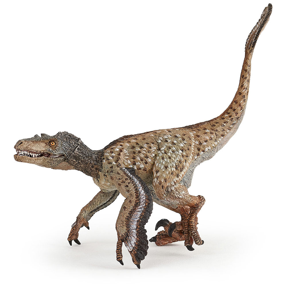 PAPO Dinosaurs Feathered Velociraptor Toy Figure, Multi-colour (55086)