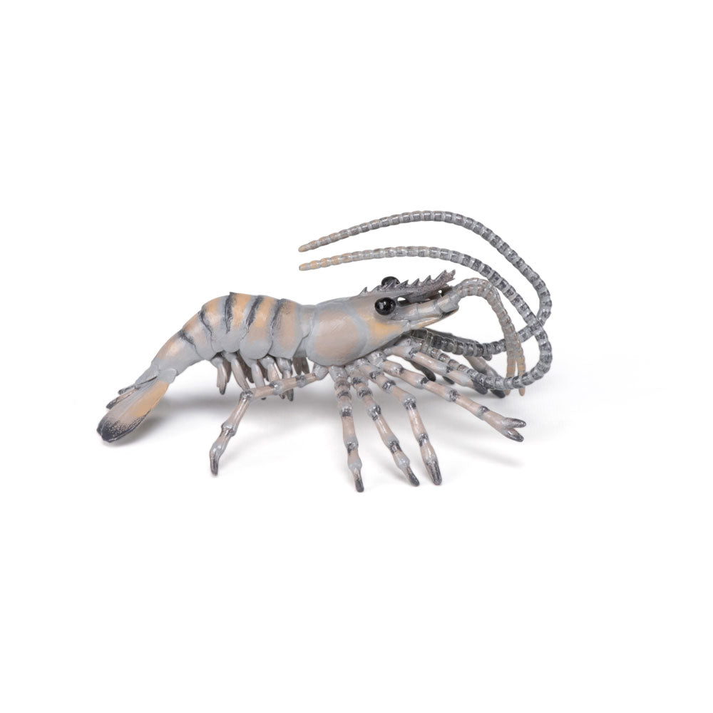 PAPO Marine Life Shrimp Toy Figure, Multi-colour (56053)