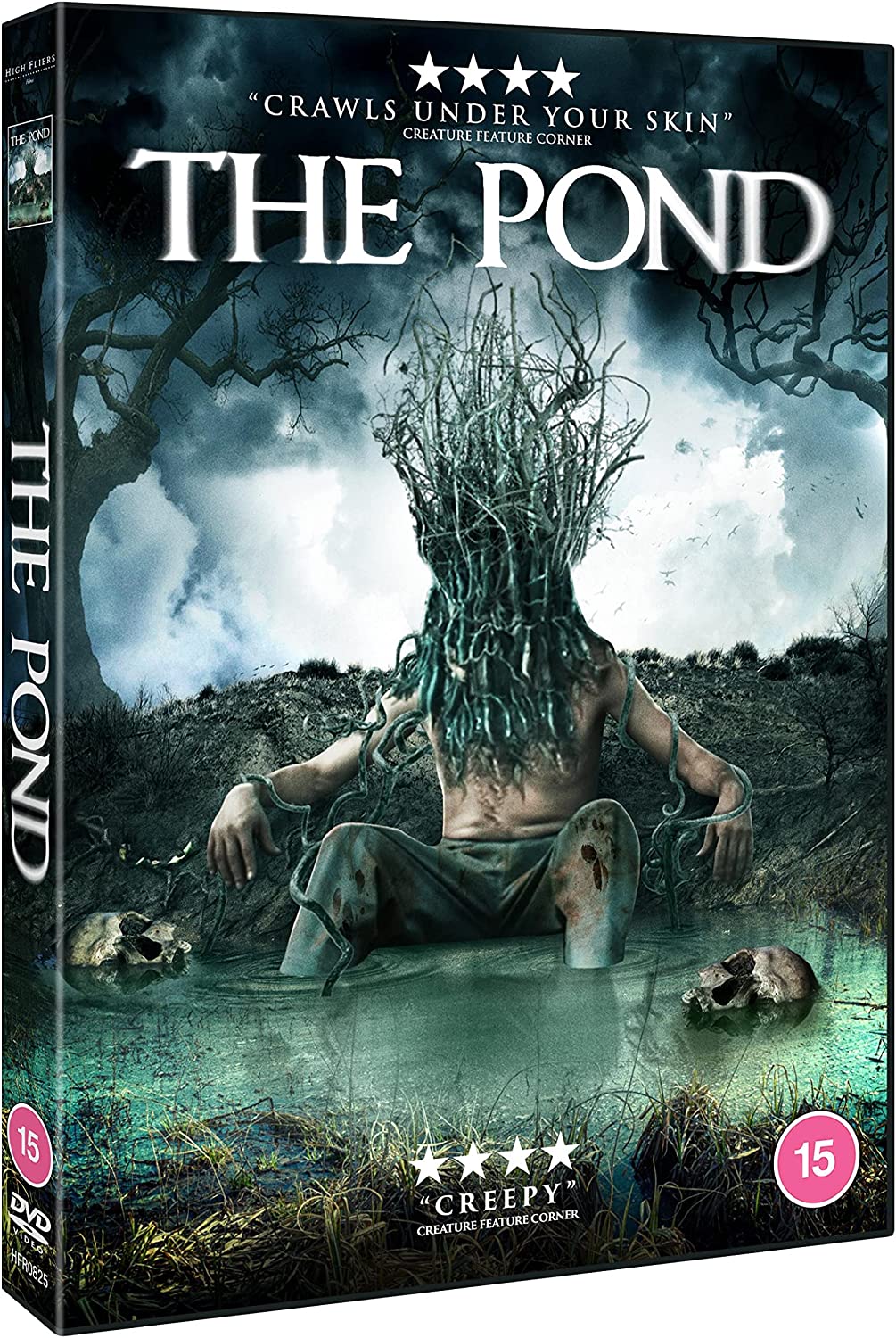 The Pond