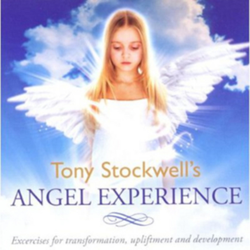 Angel Experience