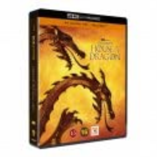 House of The Dragon