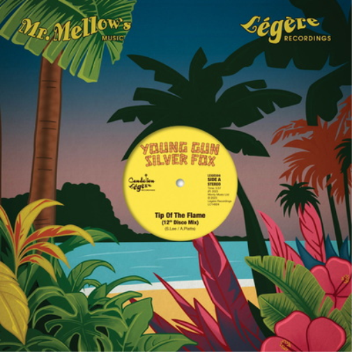The Disco Mixes