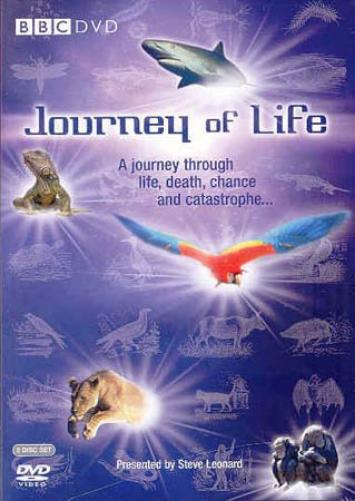 Journey Of Life