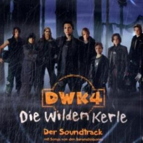 Die Wilden Kerle 4
