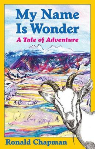 My Name is Wonder