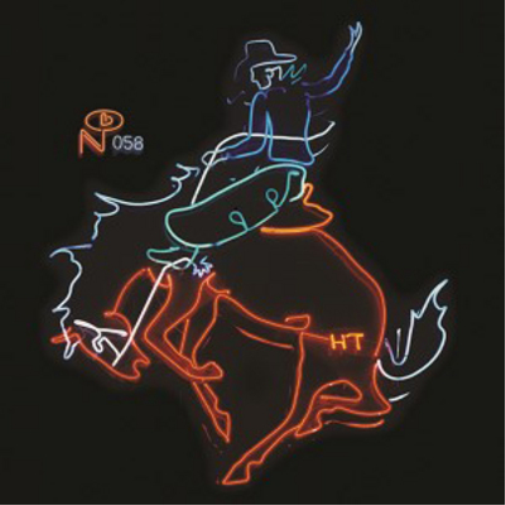 Wayfaring Strangers: Cosmic American Music
