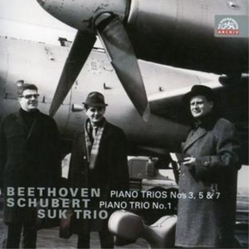 Piano Trios (Suk Trio)