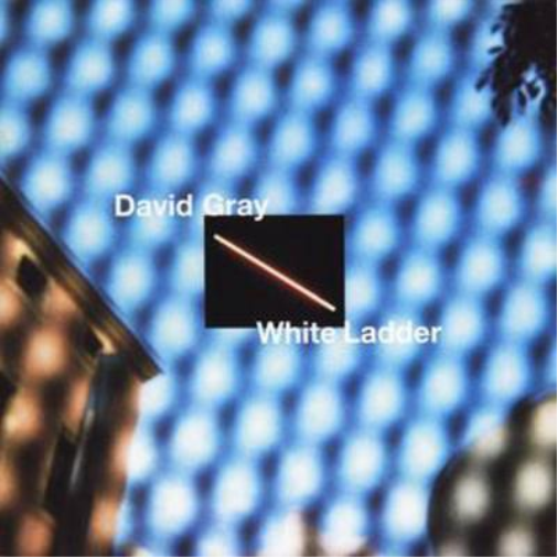 White Ladder