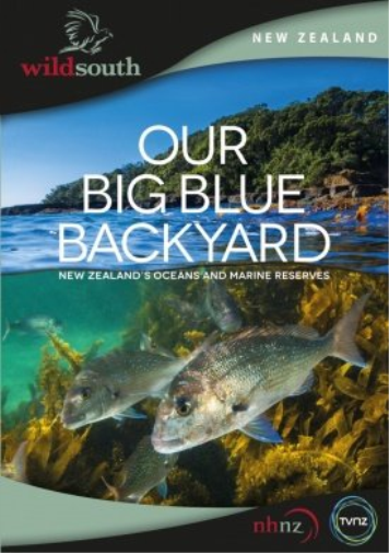 Our Big Blue Backyard