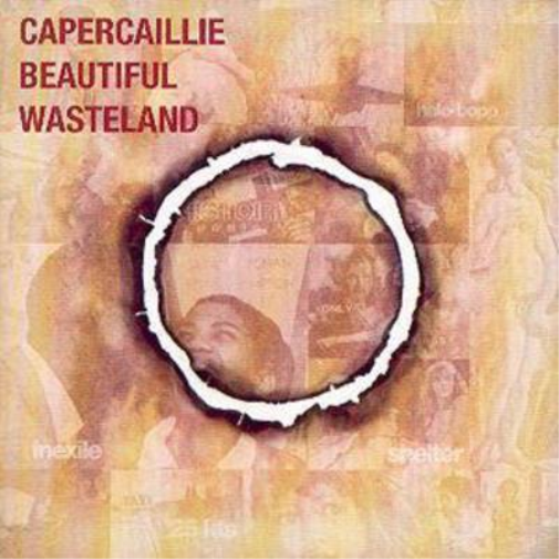 Beautiful Wasteland