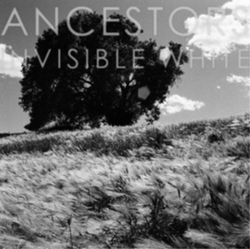 Invisible White