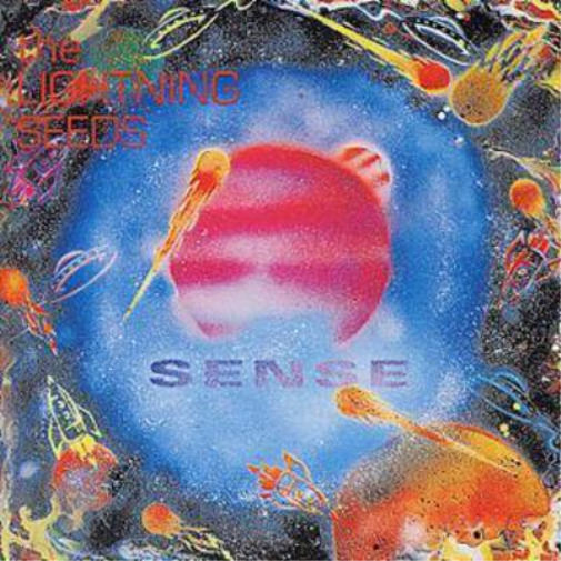 Sense
