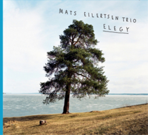 Elegy
