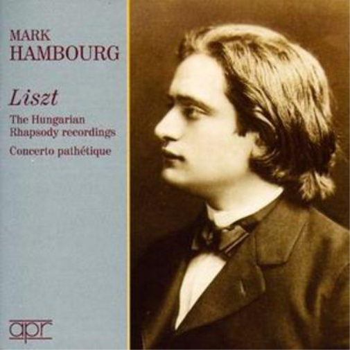 Hungarian Rhapsodies (Hambourg)