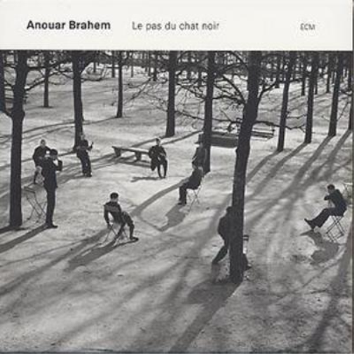 Le Pas Du Chat Noir
