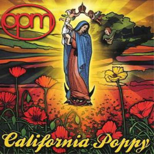California Poppy